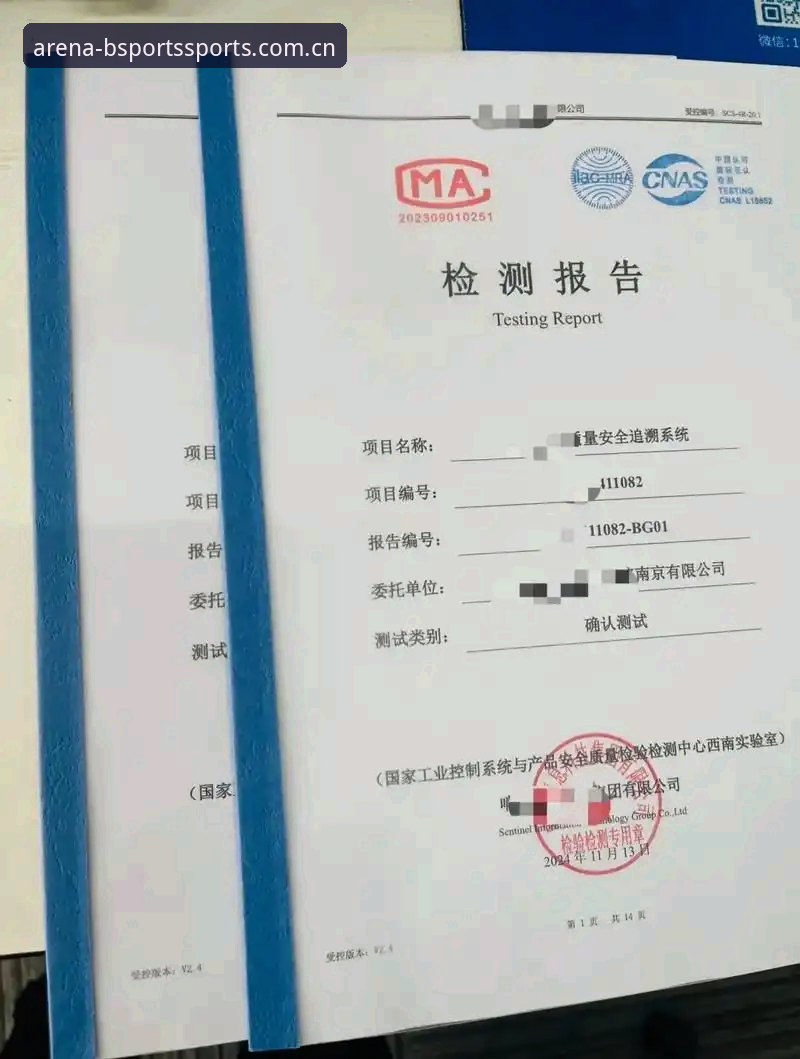 BSports平台登录引导全面评测：从入口到体验的专业分析报告